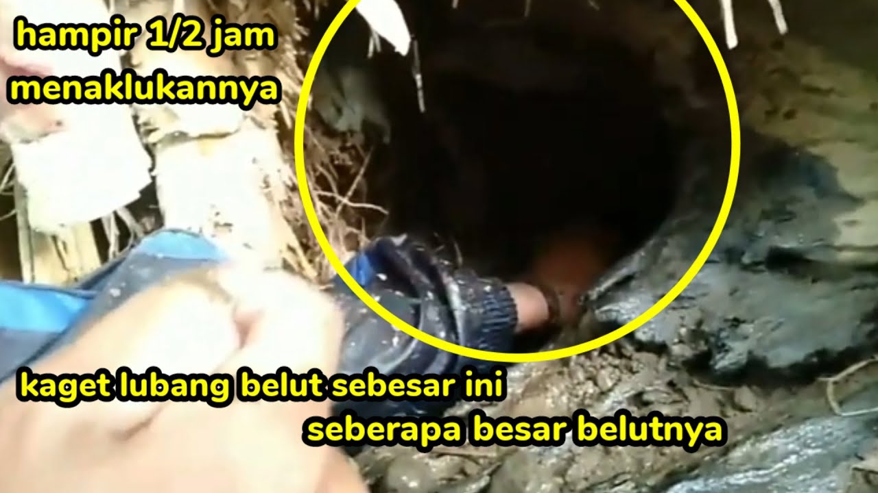 REKOR !! APAKAH INI LUBANG BELUT TERBESAR DI DUNIA ISINYA SUNGGUH BIKIN TERCENGANG || EEL FISHING