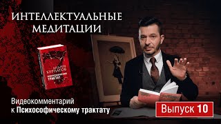 картинка: Интеллектуальные медитации. Видеокомментарий к Психософическому трактату: выпуск 10