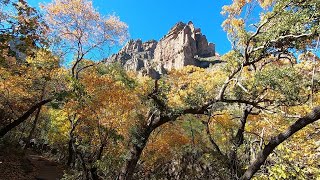 The Most Overlooked Trail at Big Bend National Park, Pine Canyon