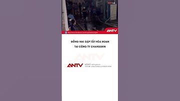 Kịp Thời Dập Tắt Đám Cháy Tại Công Ty Chuyên Sản Xuất May Mặc, Da Giày