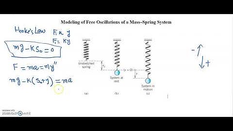 Modeling of Free Oscillations of a Mass Spring System Undamped vibrations Clip 1