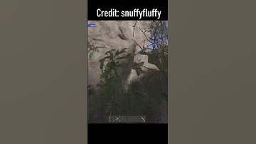 He Had The Best Clutch In His 10000 Hours In Rust #shorts