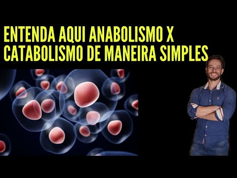 Vídeo: Durante o anabolismo o que está ocorrendo?