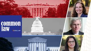 Common Law S5 E4: Avoiding the Separation-of-Powers Question
