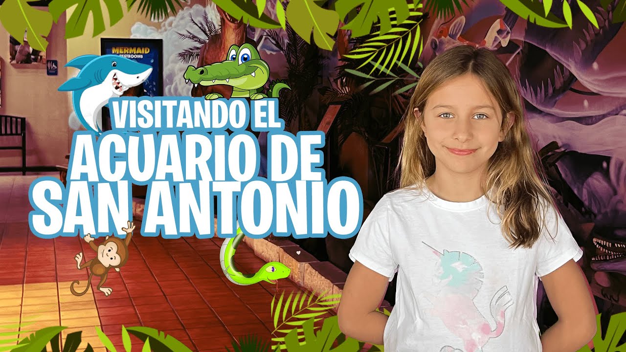Visitando el Acuario de San Antonio sanantonioaquarium YouTube