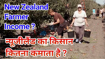 New Zealand Farmer Income in Hindi