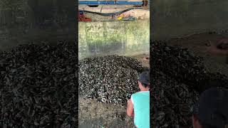 Ang Sipag Ng Batang To Tumutulong Sa Kanyang Lola