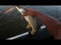 Ловим щуку на HMKL K-0 Wake Minnow 115.Pike Topwater Fishing.