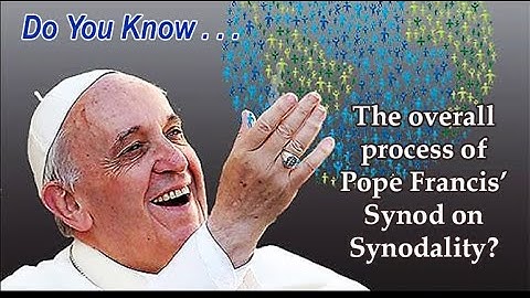 DYK the overall process of Pope Francis