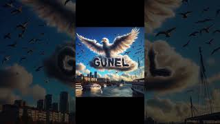 Günel İsmi̇ Kalbi̇mi̇n Haki̇mi̇si̇n