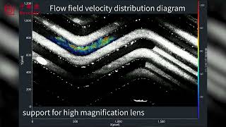 PIV microfluidic experiments
