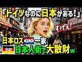 【海外の反応】「日本ロスで破産よw」初来日のオランダ人一家が全員日本食にドはまり!帰国後日本食を求めてドイツにある日本人街に行ったら...感動しすぎて日本ロスが止まらなくなったw