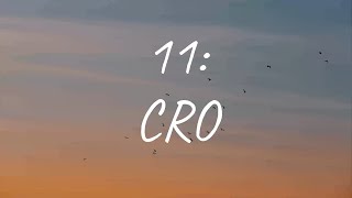 CRO - 11: (Lyrics)