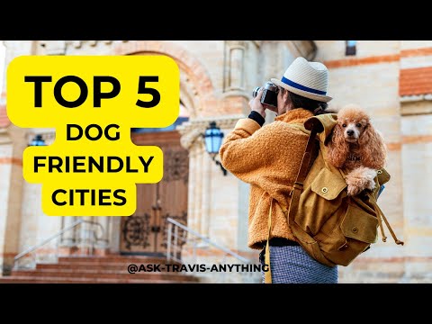 Travel Global Bark: