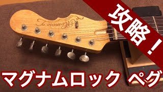 Parker ステンレスフレット化、ロックペグ化済 Parker ステンレスフレット化、ロックペグ化済 Parker