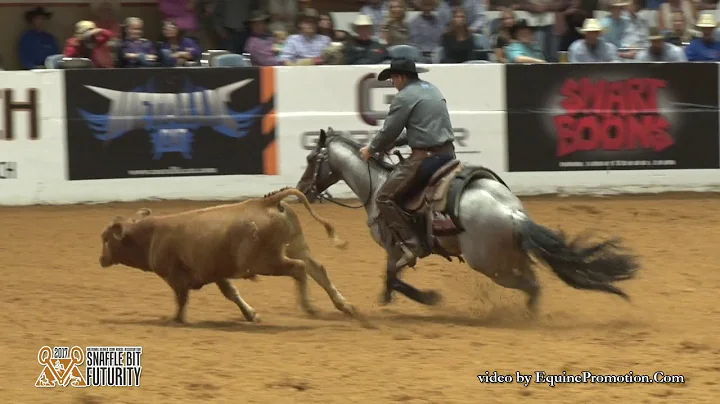 2017 NRCHA Snaffle Bit Futurity Open Champions Pla...