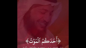 سورة المنافقون الآية ٩ - ١١ القارئ إدريس أبكر