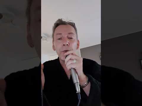 Eve-Sirpaleista tehty