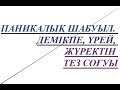 Паникалық шабуыл. Оның себебі және құтылу амалдары. Невроз қазақша