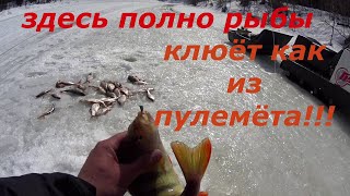 Рыбалка на мормышку. Здесь полно рыбы. Клюёт как из пулемёта.