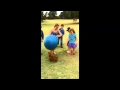 Cavalier Play Day Southern Suburbs Perth 'dachy' fun Cavalier Play Day Southern Suburbs Perth 'dachy' fun