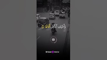 سورة الزلزلة للقارئ الشيخ ماهر المعيقلي