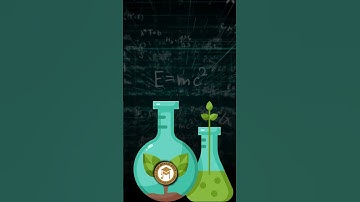 Celebrating National Science Day! 🌍🔬✨