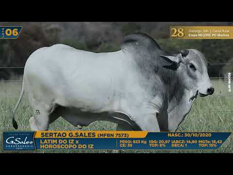 LOTE 06   MFBN 7573