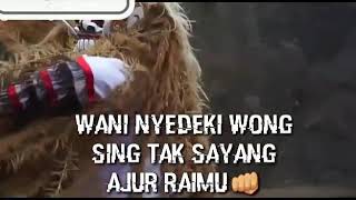 Story WA Bahasa Jawa Leak,, Buto Rampak Gedruk