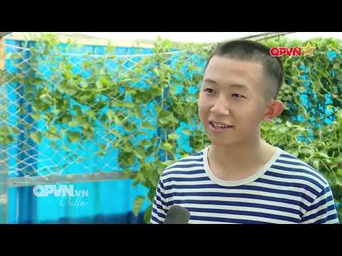 Chiến sĩ Hải