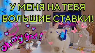 : NEW!! :       