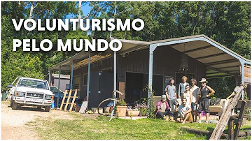 Como ser voluntário sem pagar?