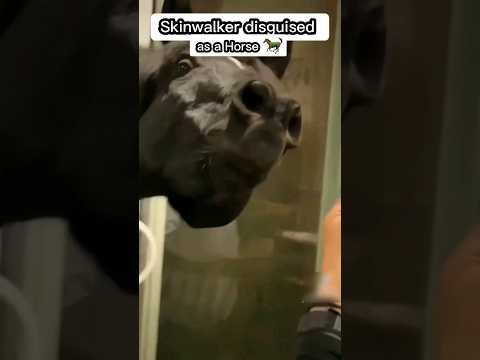 skinwalker disguised as