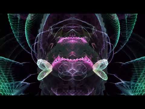 Wolf Tech -