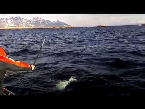 Video: Apex Legends Nessy Asukohad - Kuidas Kudeda Loch Nessi Koletise Lihavõttemuna