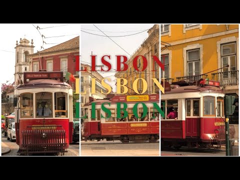 🇵🇹vlog l 여기가 리스본의 동묘🛍️ㅣ걸어서 리스본 속으로(타임아웃마켓, 에그타르트, 석양 스팟)ㅣ리스본 비추천 숙소🙅🏻‍♀️