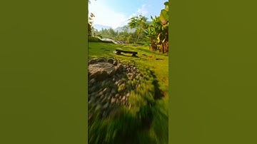 Cinelog35 V2 Gopro/ #video #respect #bhayanak #nature #goneviral