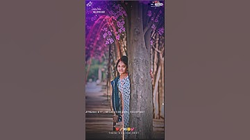 LD Dodva New Timli Status 2025_Ghanshyam Rathva New Timli Status 2025 #shorts #timli #status