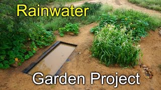 Rainwater Garden Project - Desert Permaculture 2015