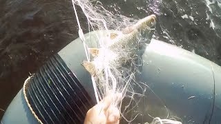 Рыбалка Сетями, Утро снимаем сеть, Рыбалка по большой воде 2 часть Рыбалка Сетями, Утро снимаем сеть, Рыбалка по большой воде 2 часть