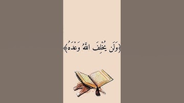 #قرآن #راحة_نفسية #تلاوة_خاشعة #اكسبلور