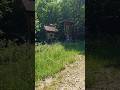 Прогулка!  Перевал Немчич осенью! Восхитительно Красиво!  Nemchich Pass, Carpathians