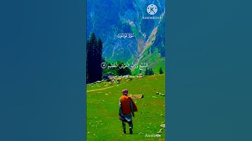 أكتب شيء تؤجر عليه ❤️🩹🤲🔥|سورة المؤمنون| surah al quran with beautiful voice 😍|Must listen