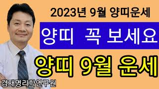 양띠의 2023년 9월 운세입니다  / 양띠운세 총정리 / 91년생 79년생 67년생 55년생 43년생  전…