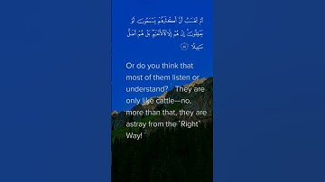 شيخ حسن الواجد سورة الفرقان surah Al furqaan by sheikh hassan al-wajidi 🤲🤲🙏🙏👍👍