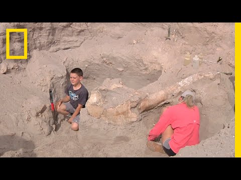 Boy Trips While Hiking, Discovers Million-Year-Old Fossil | National Geographic Instructional Video