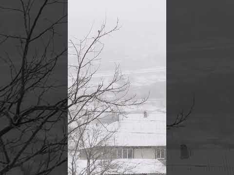 Пришла зима #рыбница