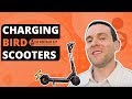 What It's Like To Be a Bird Charger - Charging Electric Scooters Review