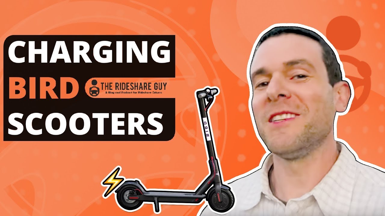 What It's Like To Be a Bird Charger - Charging Electric Scooters Review -  YouTube