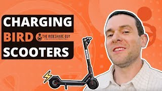 What It's Like To Be a Bird Charger  Charging Electric Scooters Review